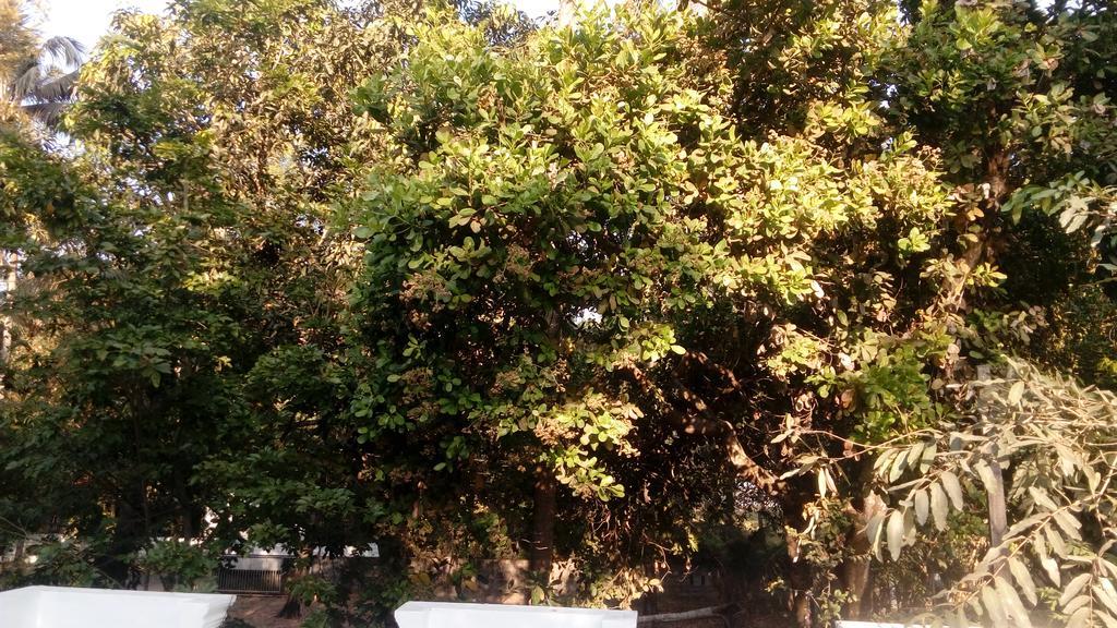 Coconut Garden Appartement Cherai Beach Buitenkant foto